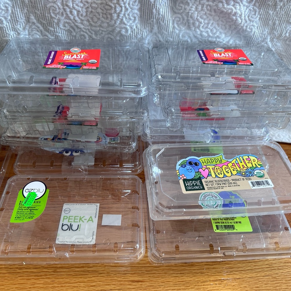 10 Pack Plastic Berry Basket/produce Containers Pint Size For Blueberries Raspbe